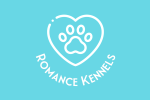 My blog
